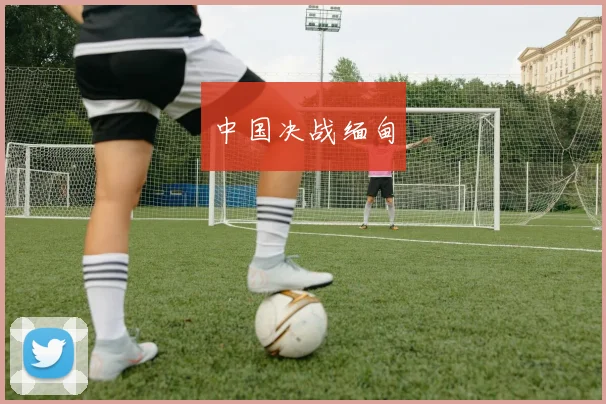 中国决战缅甸