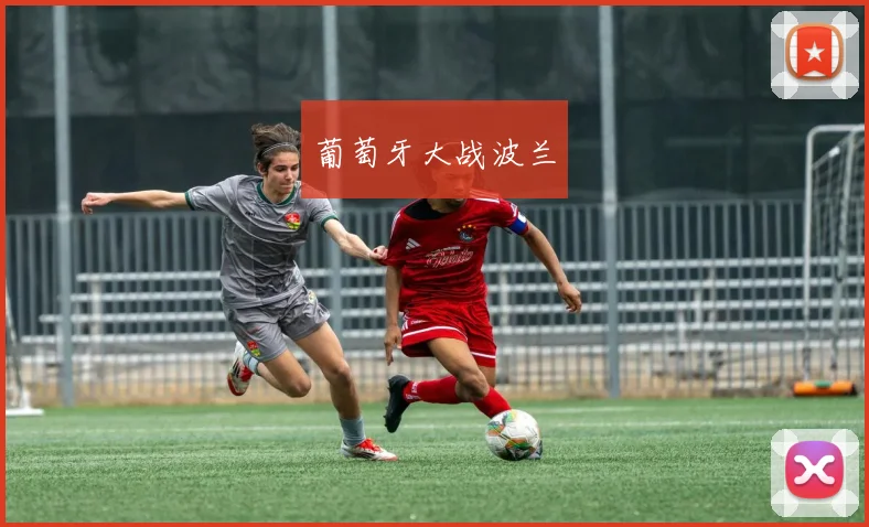 葡萄牙大战波兰