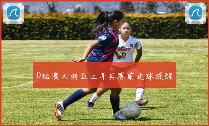 D组澳大利亚土耳其赛前进球提醒