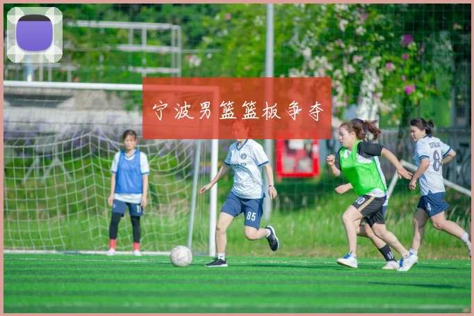 宁波男篮篮板争夺