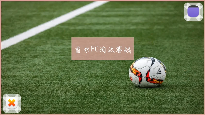首尔FC淘汰赛战