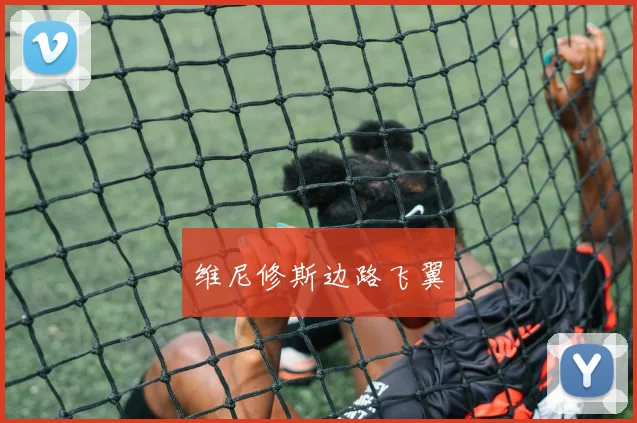 维尼修斯边路飞翼