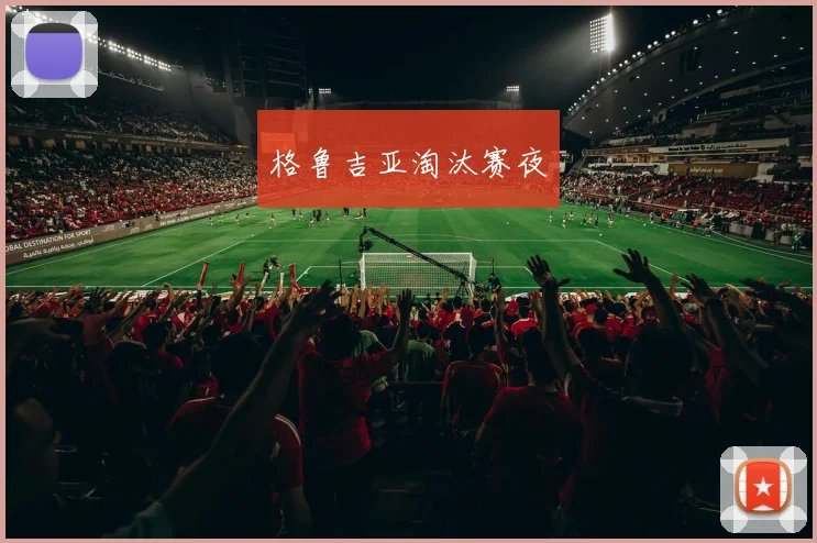 格鲁吉亚淘汰赛夜