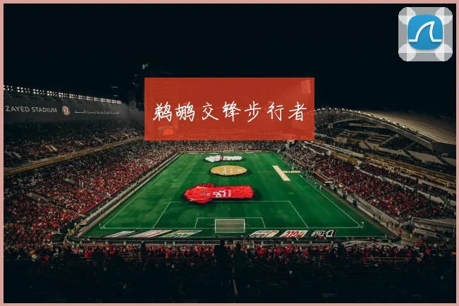 鹈鹕交锋步行者