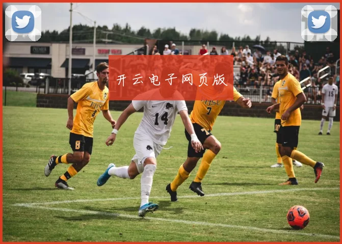 开云电子网页版