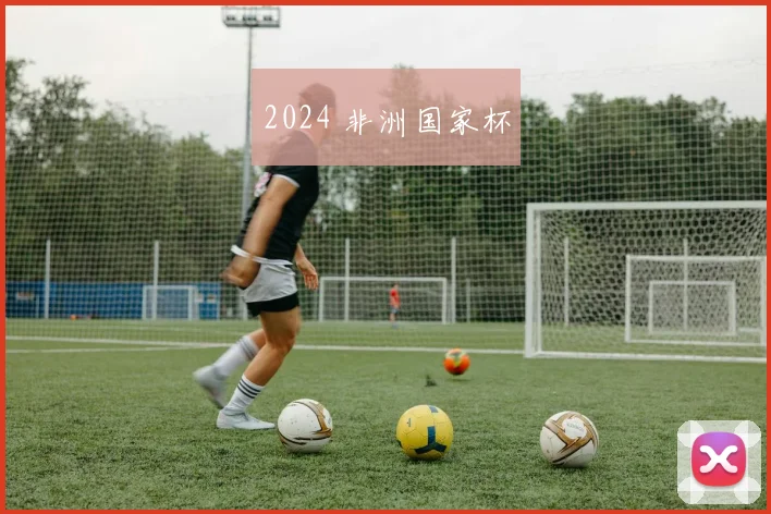 2024 非洲国家杯