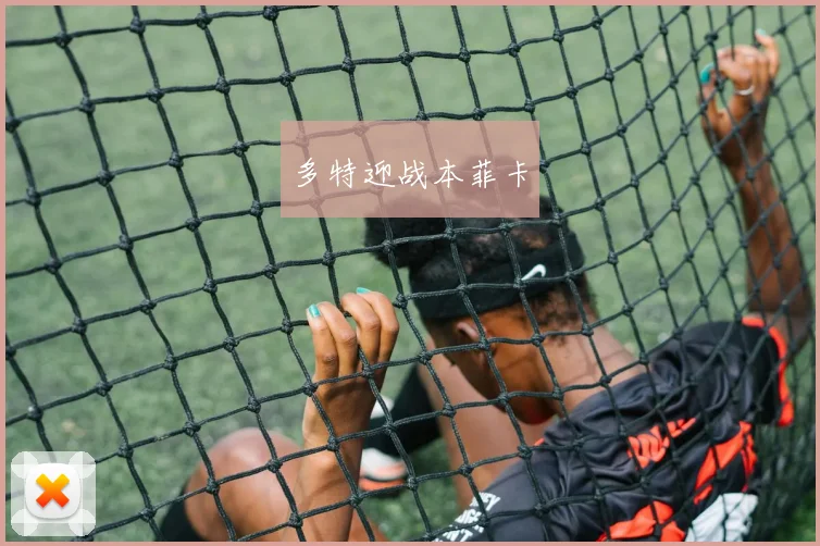 多特迎战本菲卡