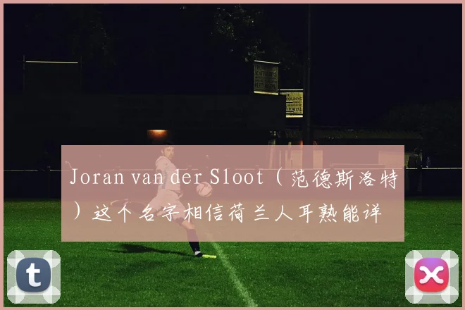 Joran van der Sloot（范德斯洛特）这个名字相信荷兰人耳熟能详