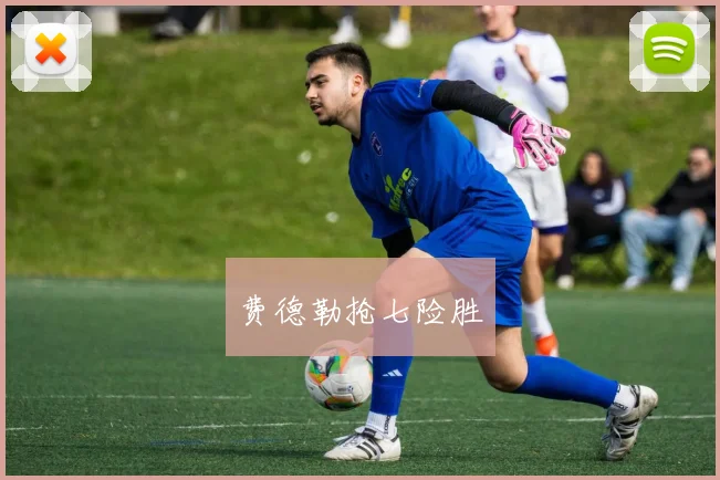 费德勒抢七险胜