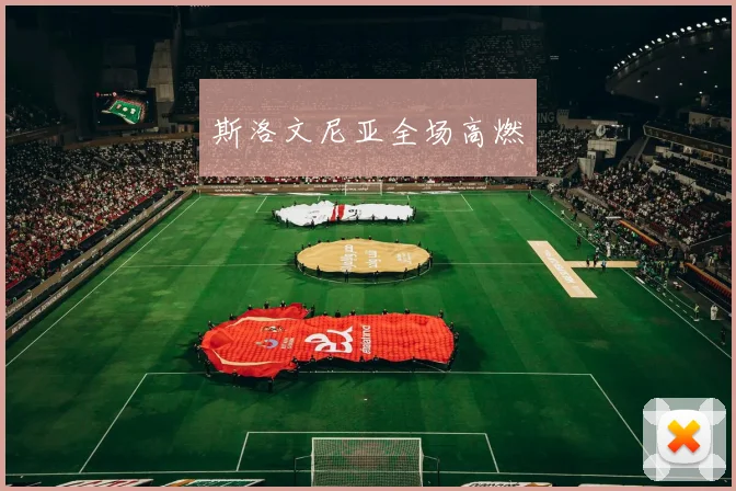 斯洛文尼亚全场高燃