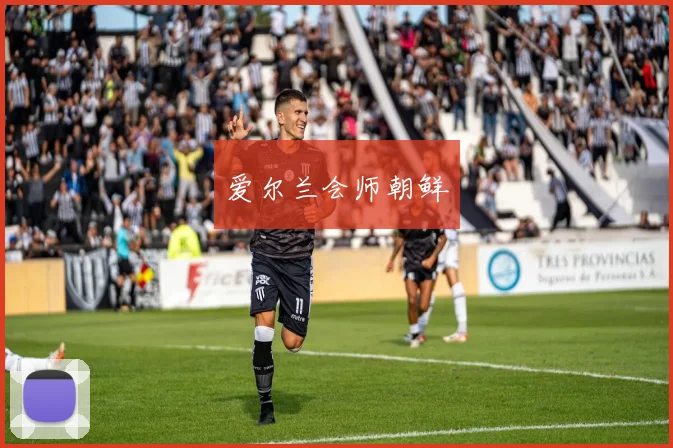 爱尔兰会师朝鲜