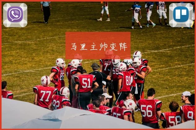 马里主帅变阵