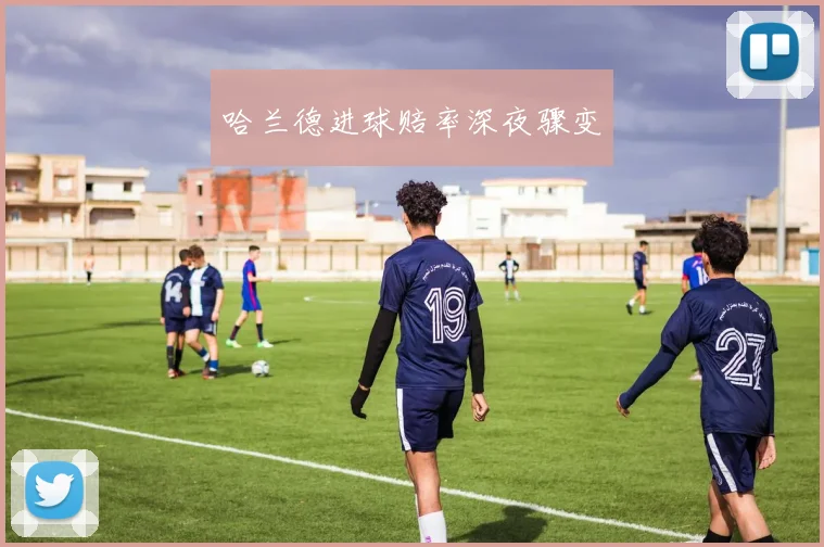 哈兰德进球赔率深夜骤变