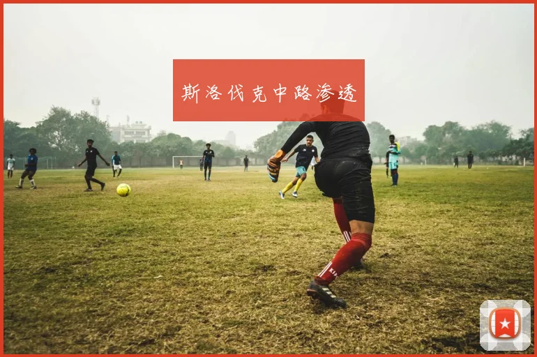 斯洛伐克中路渗透