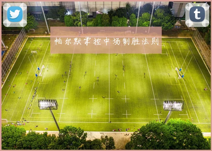 帕尔默掌控中场制胜法则
