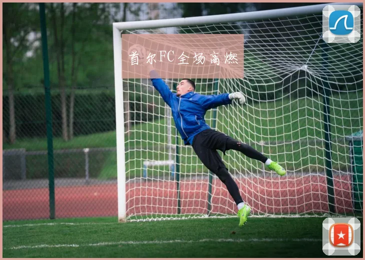 首尔FC全场高燃