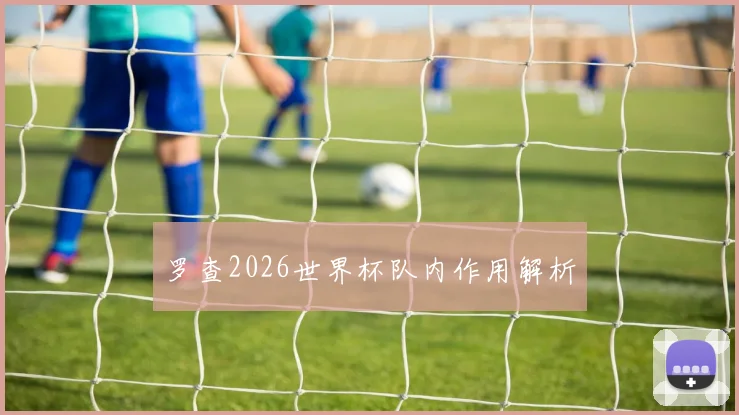 罗查2026世界杯队内作用解析