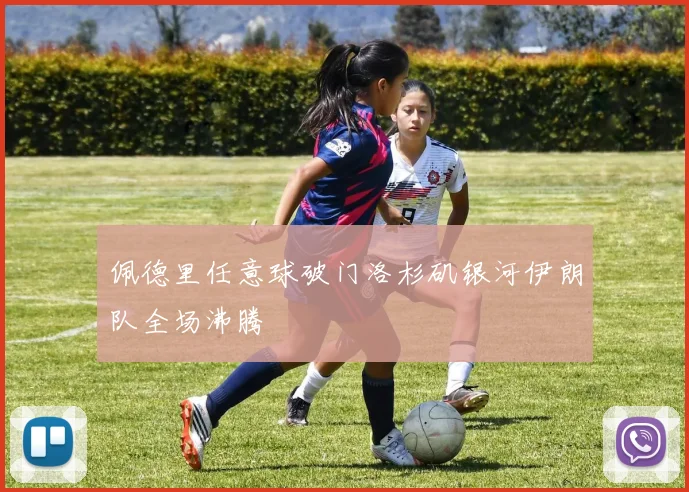 佩德里任意球破门洛杉矶银河伊朗队全场沸腾