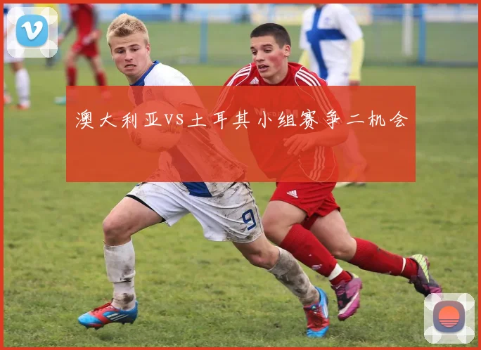 澳大利亚vs土耳其小组赛争二机会