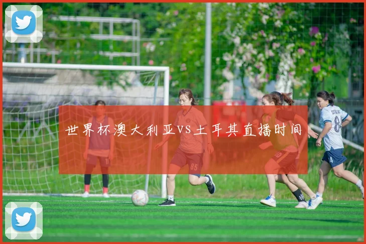 世界杯澳大利亚vs土耳其直播时间