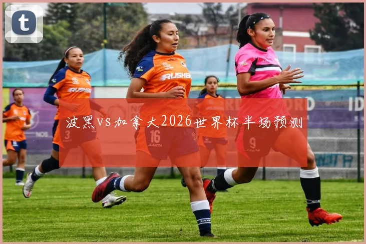 波黑vs加拿大2026世界杯半场预测