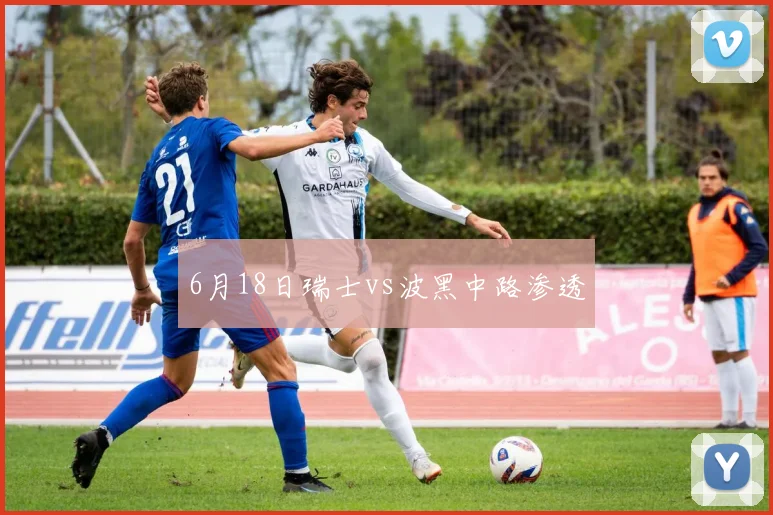 6月18日瑞士vs波黑中路渗透