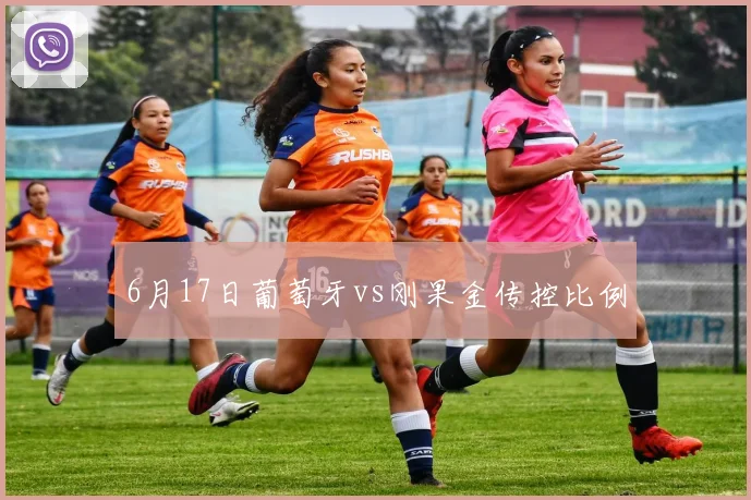 6月17日葡萄牙vs刚果金传控比例
