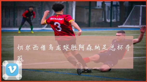 切尔西借乌龙球胜阿森纳足总杯夺冠