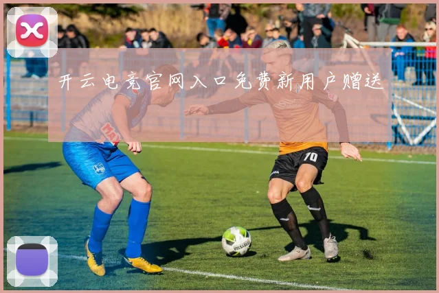 开云电竞官网入口免费新用户赠送