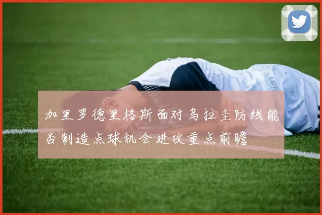 加里罗德里格斯面对乌拉圭防线能否制造点球机会进攻重点前瞻